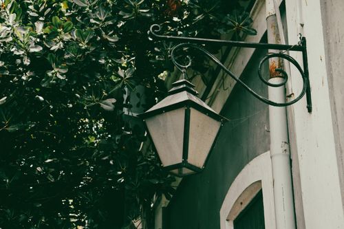 Free A classic metal streetlight surrounded by lush foliage, evoking a retro charm. Stock Photo