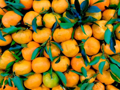 Pile Of Orange Fruits