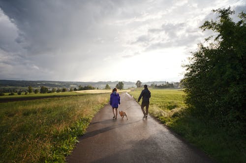 Мужчина и женщина гуляют с собакой по асфальтированной дороге