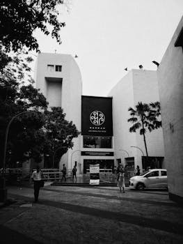 城市景观以黑白呈现，展现了现代建筑、街景和行人