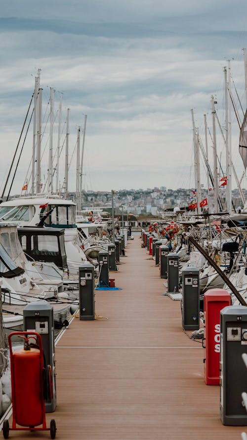 A dock with many boats and red fire hydrants