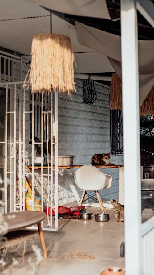 A patio with a table and chairs and a dog