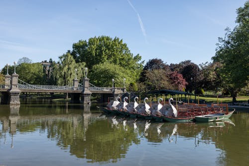 A group of people are on a boat in a lake