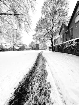 A peaceful snowy street in Chambéry, capturing winter's serene beauty.