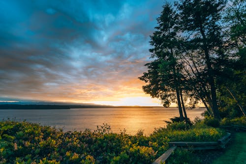 Gratis lagerfoto af aften, efterår, flod