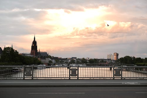 A bridge over a river with a city skyline in the background