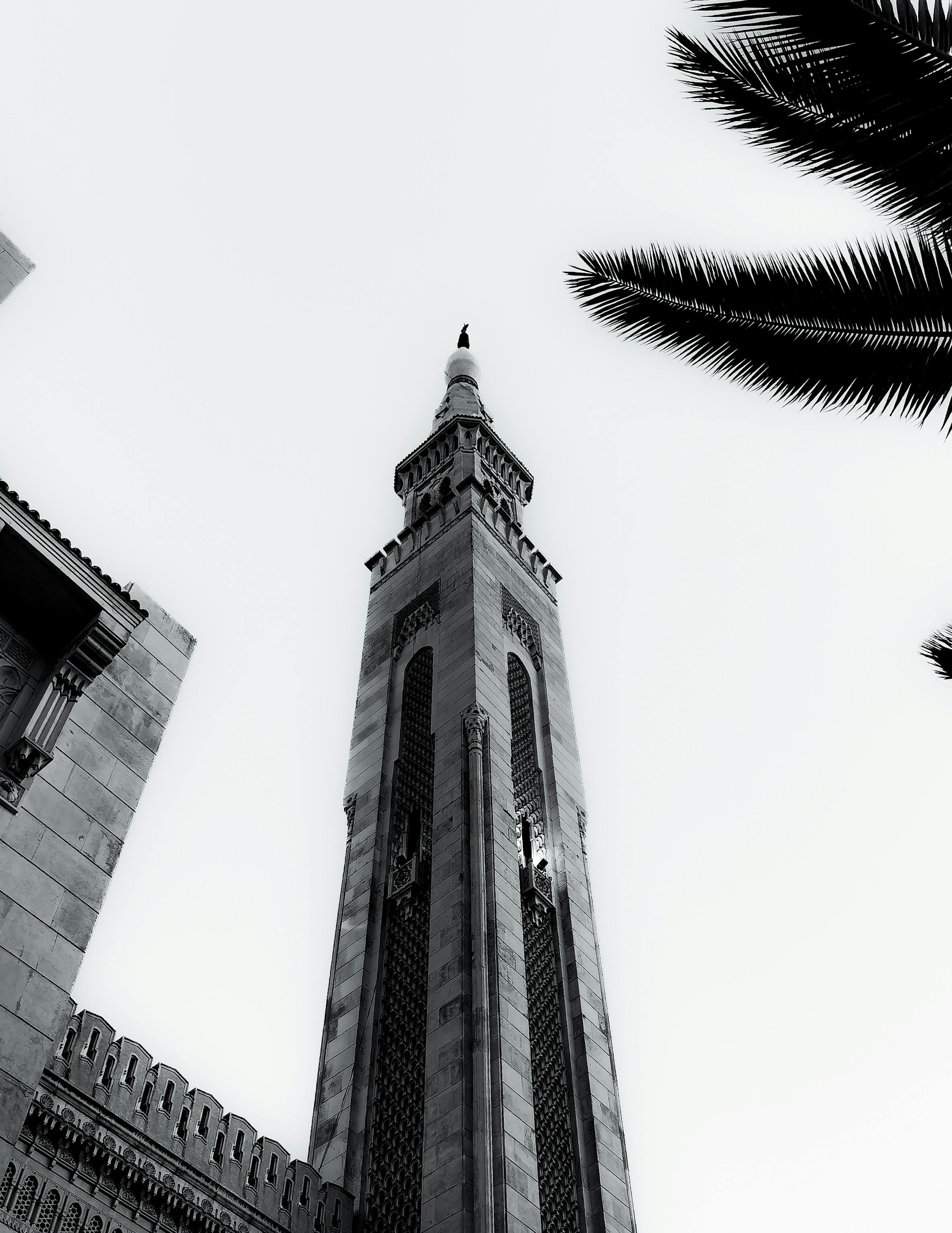 Black and white view of Emir Abdelkader Mosque minaret in Constantine, highlighting Islamic architecture.