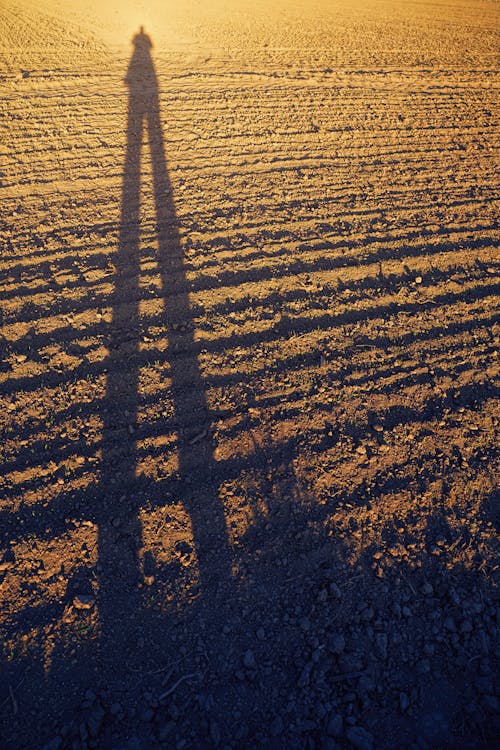 Photo De L'ombre D'une Personne Dans Un Champ