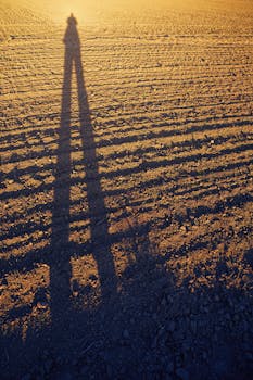 剪影阴影在干燥地形上，凸显了纹理与金光