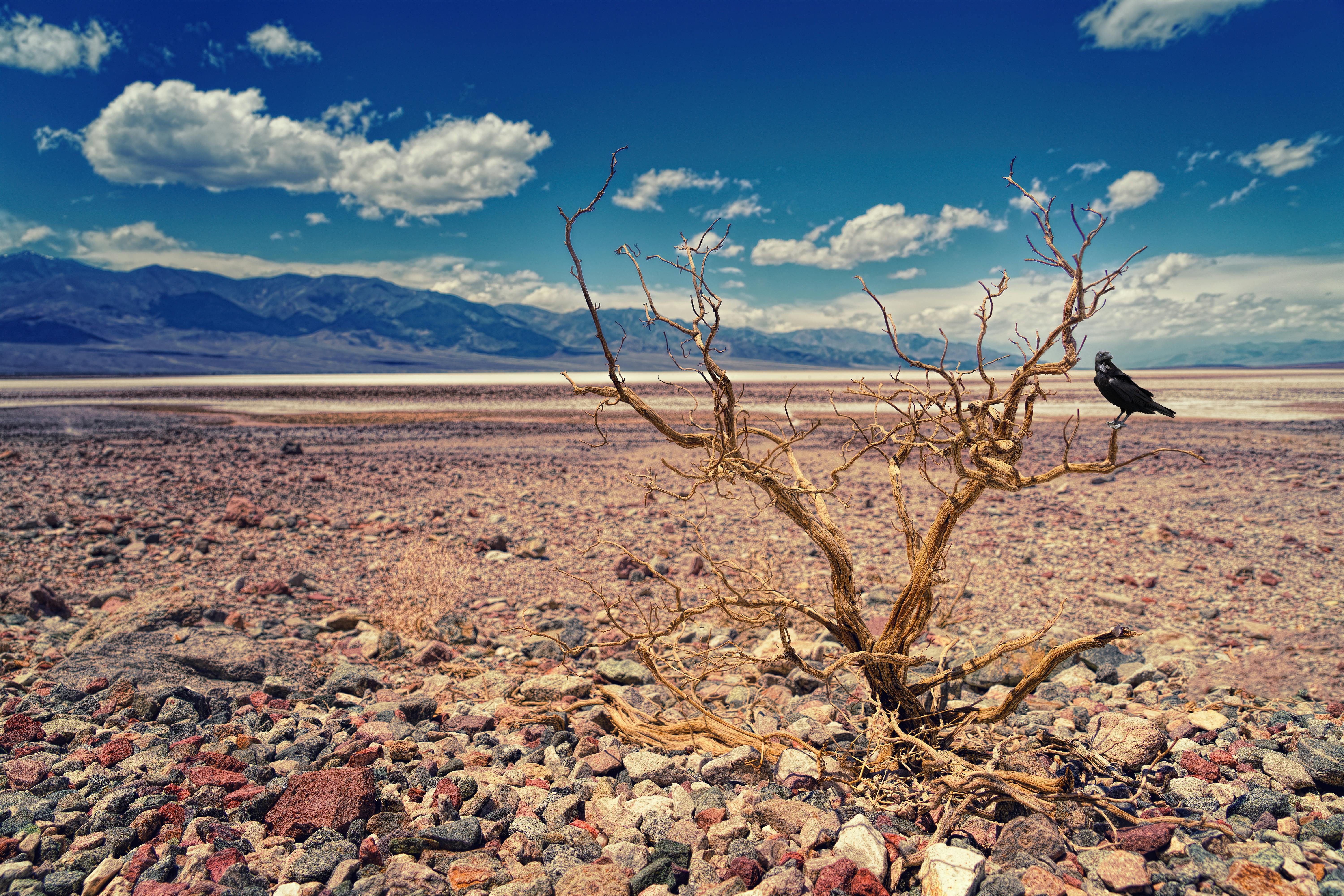 Apple Valley water wells run dry, leaving 170 people without water