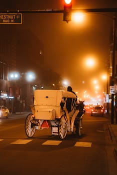 一个雾蒙蒙的夜晚，芝加哥的街道上，一辆马车停在路灯下