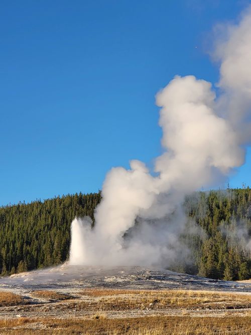 Free Dynamic vertical shot of steaming geyser erupting against a clear blue sky in Yellowstone. Stock Photo