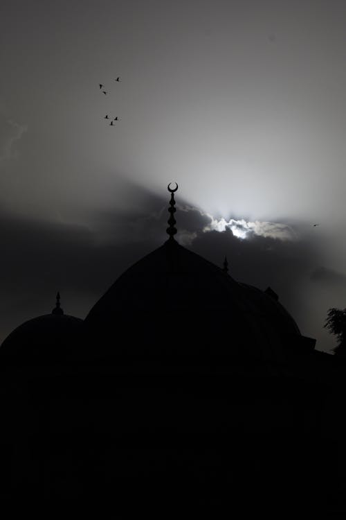 伊斯坦布尔图尔基耶, 清真寺, 特尔斯克 的 免费素材图片