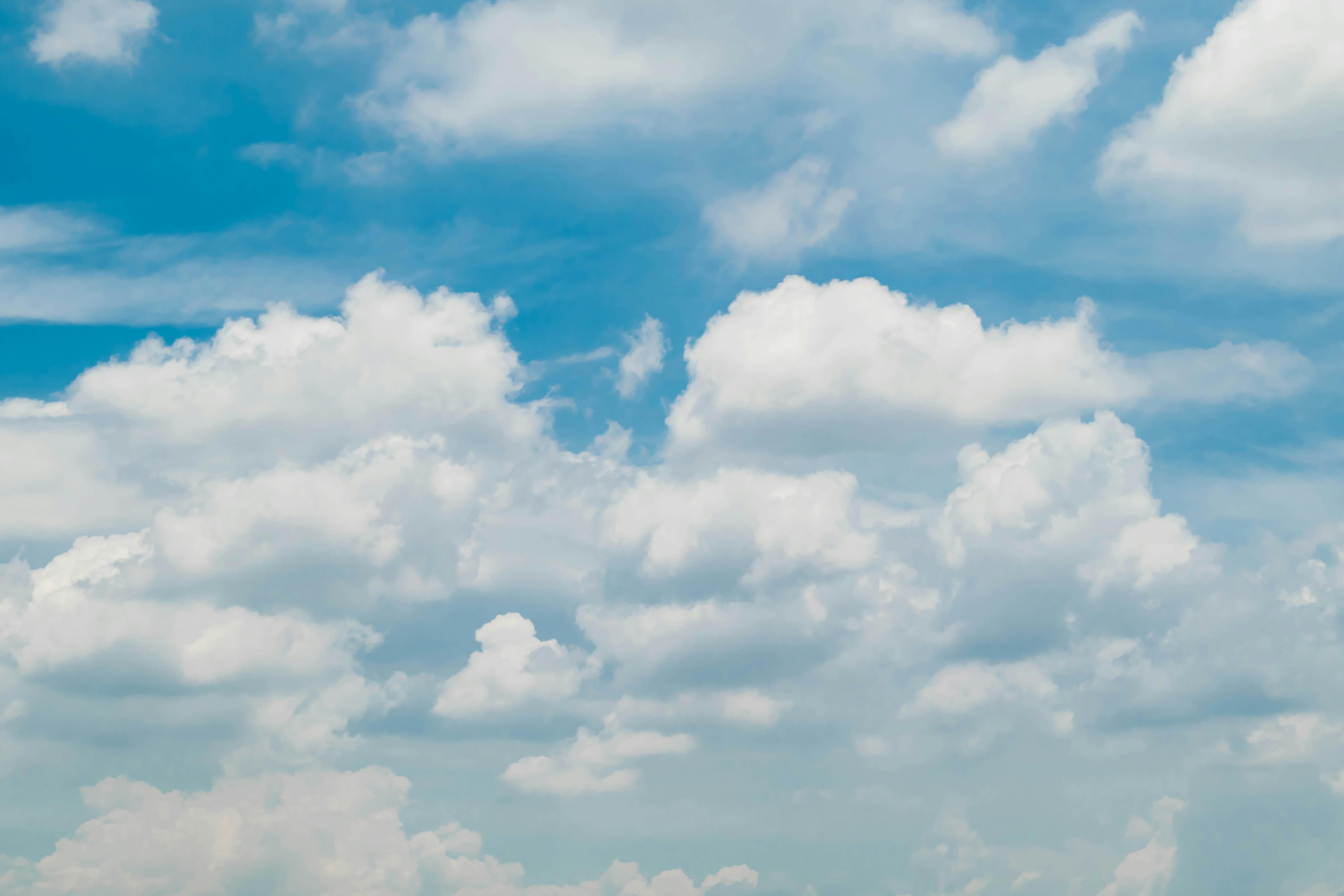 Pokemon Pokopia: Developer Cloud Island Code — Photo by Gia on Pexels