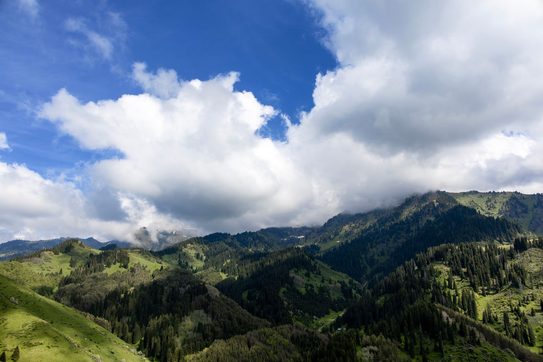 Breathtaking aerial view of lush green mountains under a bright blue sky in Almaty, Kazakhstan. — photo by Alexander Buzurnyuk / Pexels
