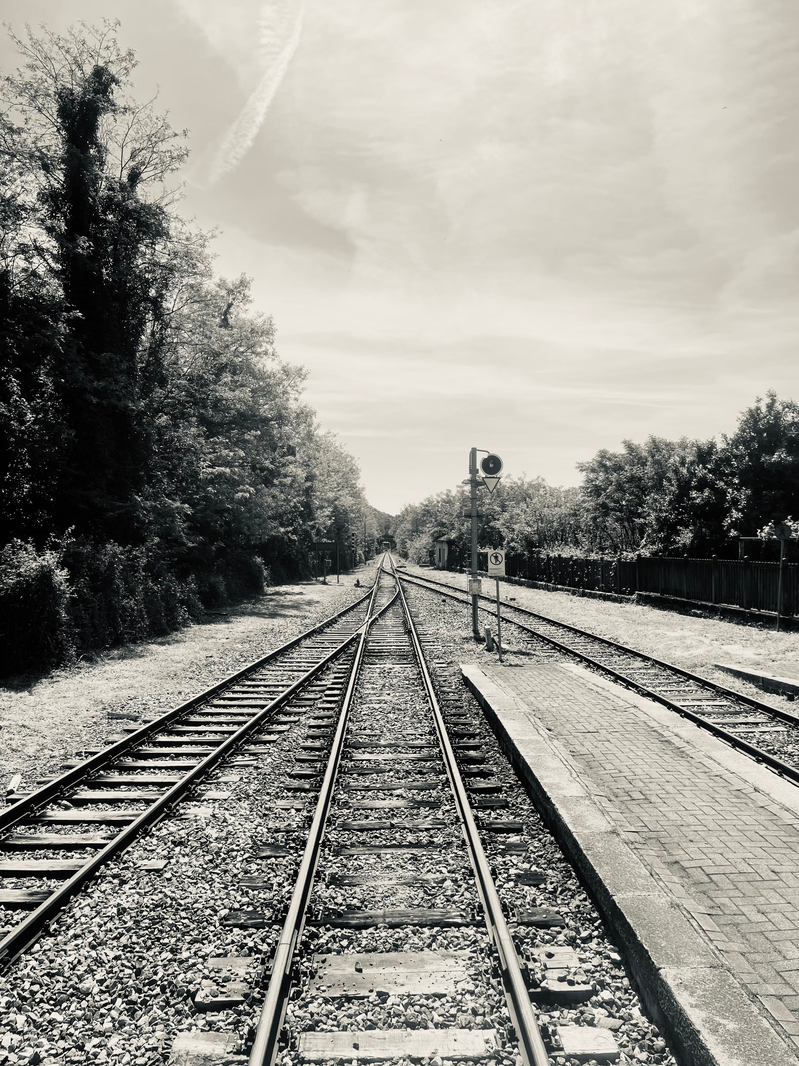 Railway Tracks Lined with Trees · Free Stock Photo