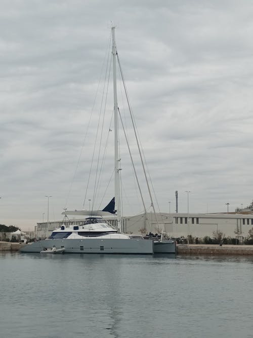 A catamaran docked in a harbor