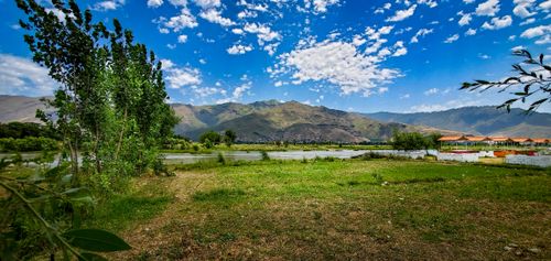 Free stock photo of beauty in nature Stock Photo
