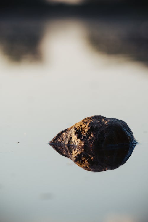 A rock is reflected in the water
