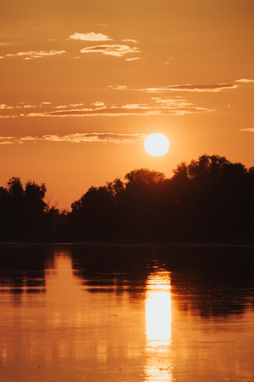 A sunset over a river with trees and water