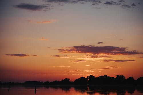 エルベ, 岸, 日没の無料の写真素材