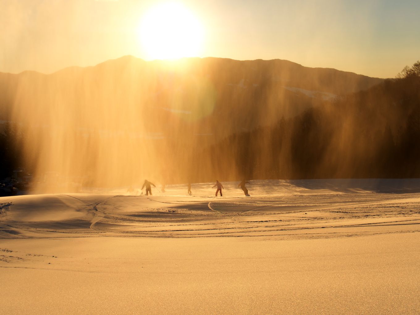 Silhouettes of people skiing during a stunning golden winter sunset with snow and mist.