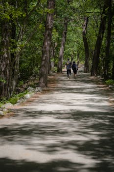 A couple enjoying a leisurely walk on a forest path surrounded by trees in summer.