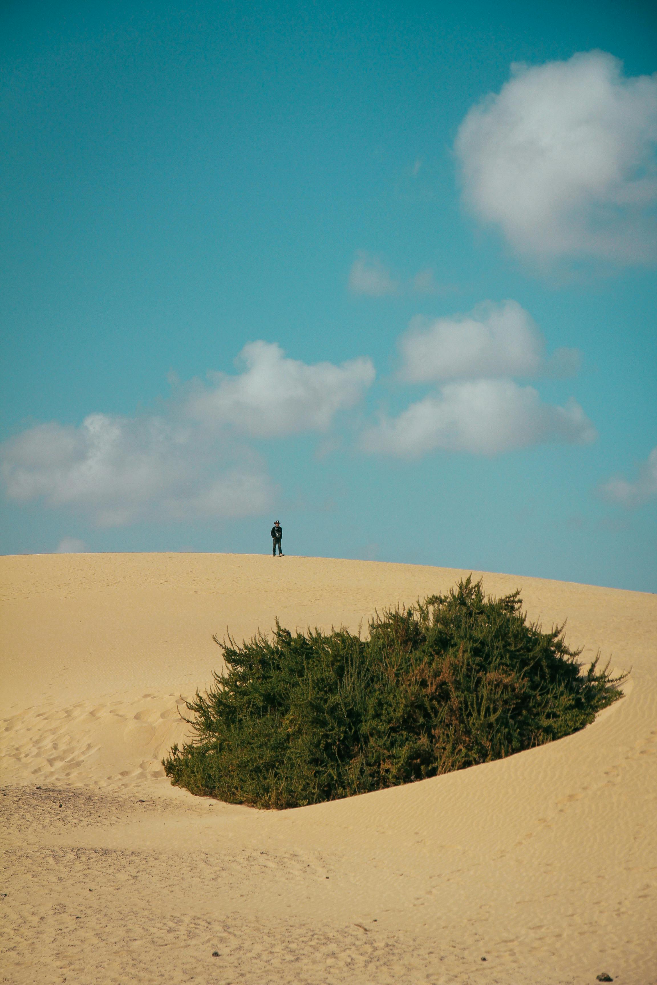 man standing on sand dune