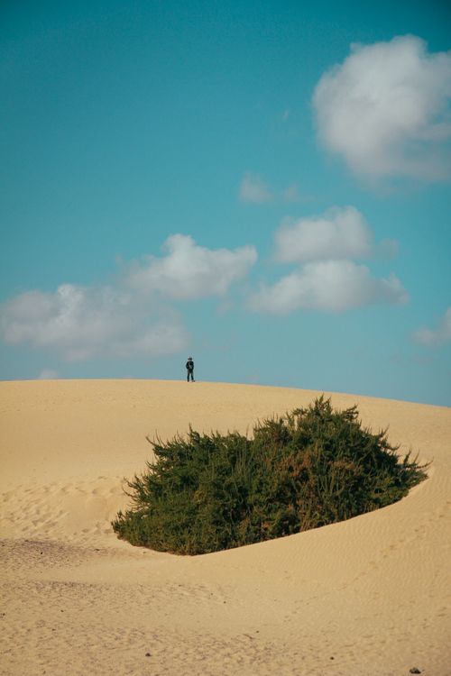 Free A lone person stands on a sand dune against a bright blue sky in the desert. Stock Photo