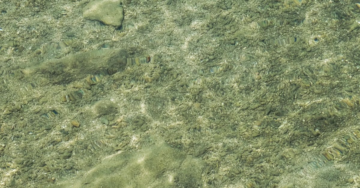 Cómo el batiscafo Trieste cambió la exploración submarina para siempre Cómo el batiscafo Trieste cambió la exploración submarina para siempre