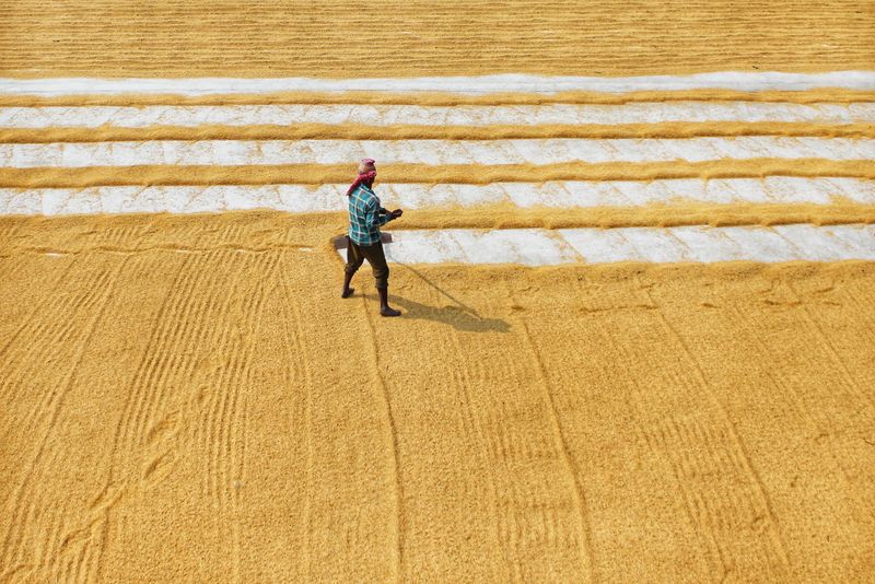 Farmer drying grain, aerial view, West Bengal