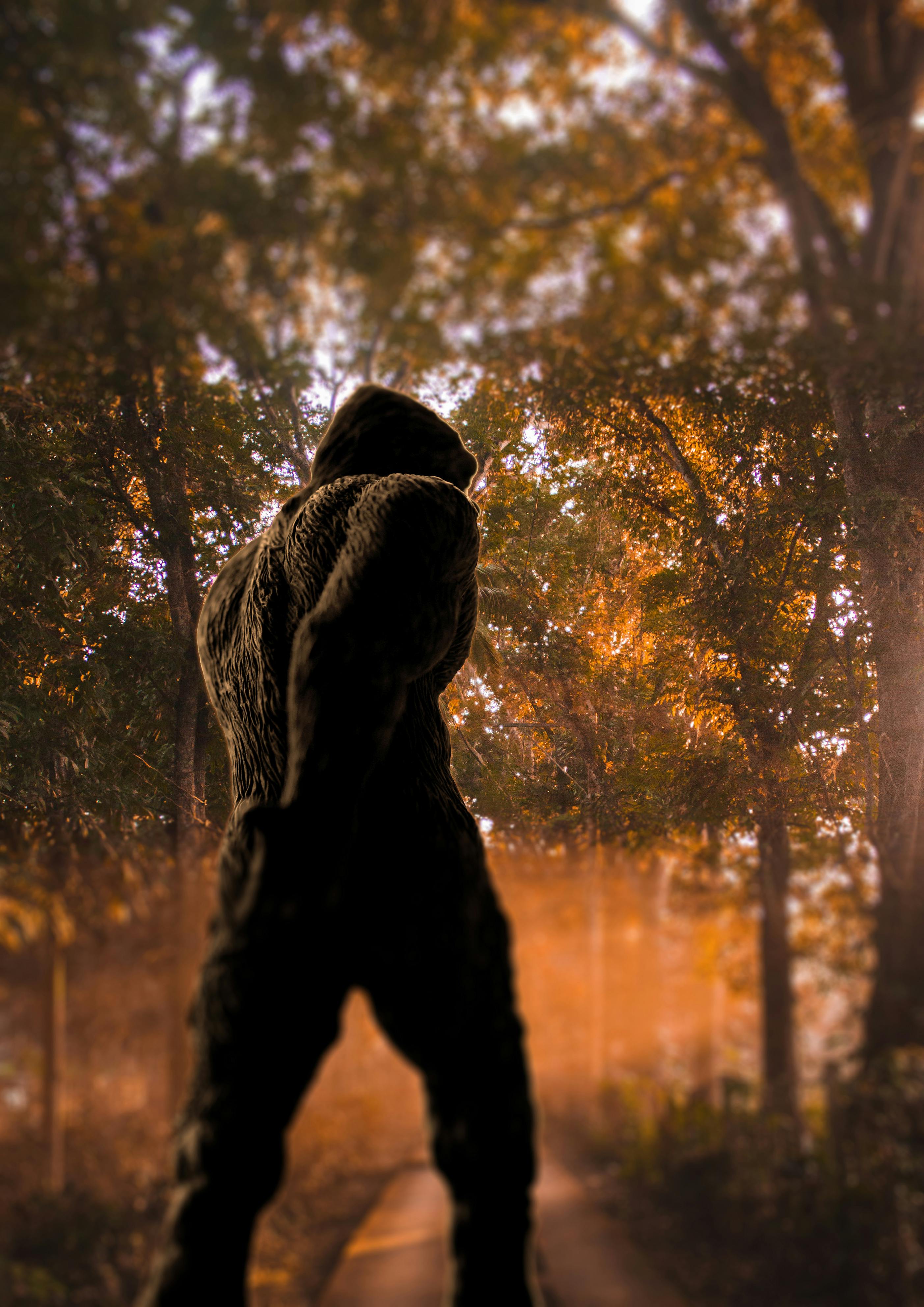 bigfoot pictures