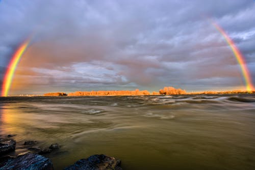 Základová fotografie zdarma na téma déšť, duha, kanada