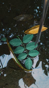 Green and yellow leaves floating in water, capturing natural beauty and tranquility.