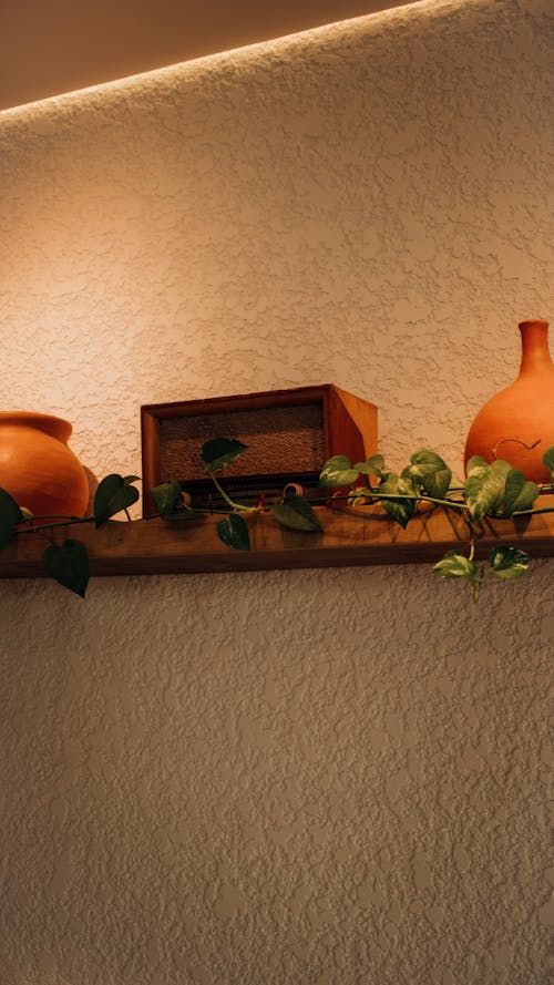 A shelf with pots and plants on it