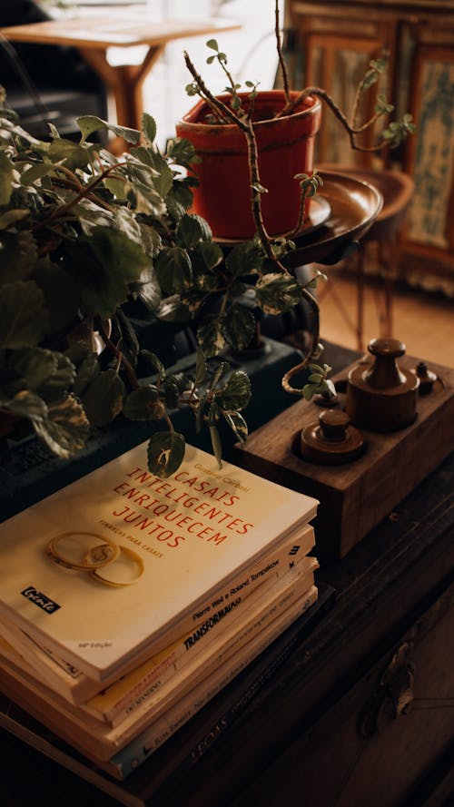 A book on a table with a plant and a potted plant