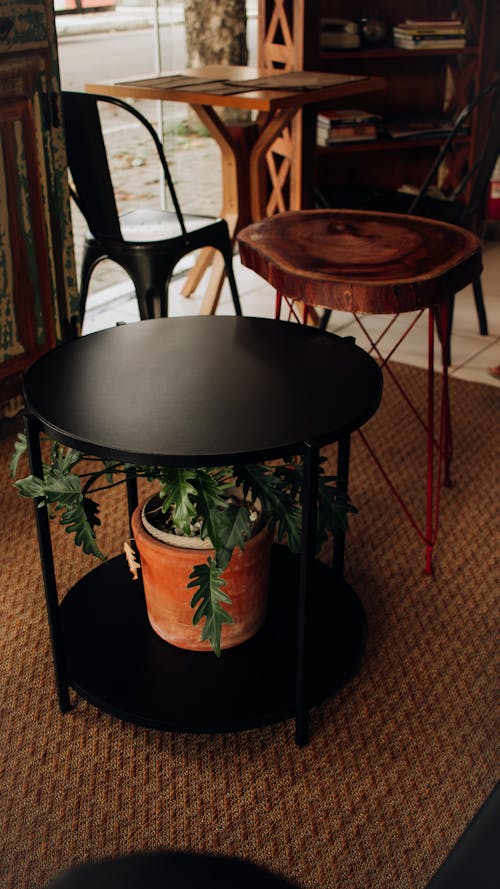 A black table with a potted plant on it