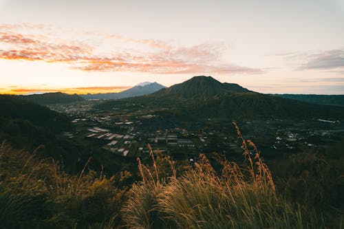 布朗山