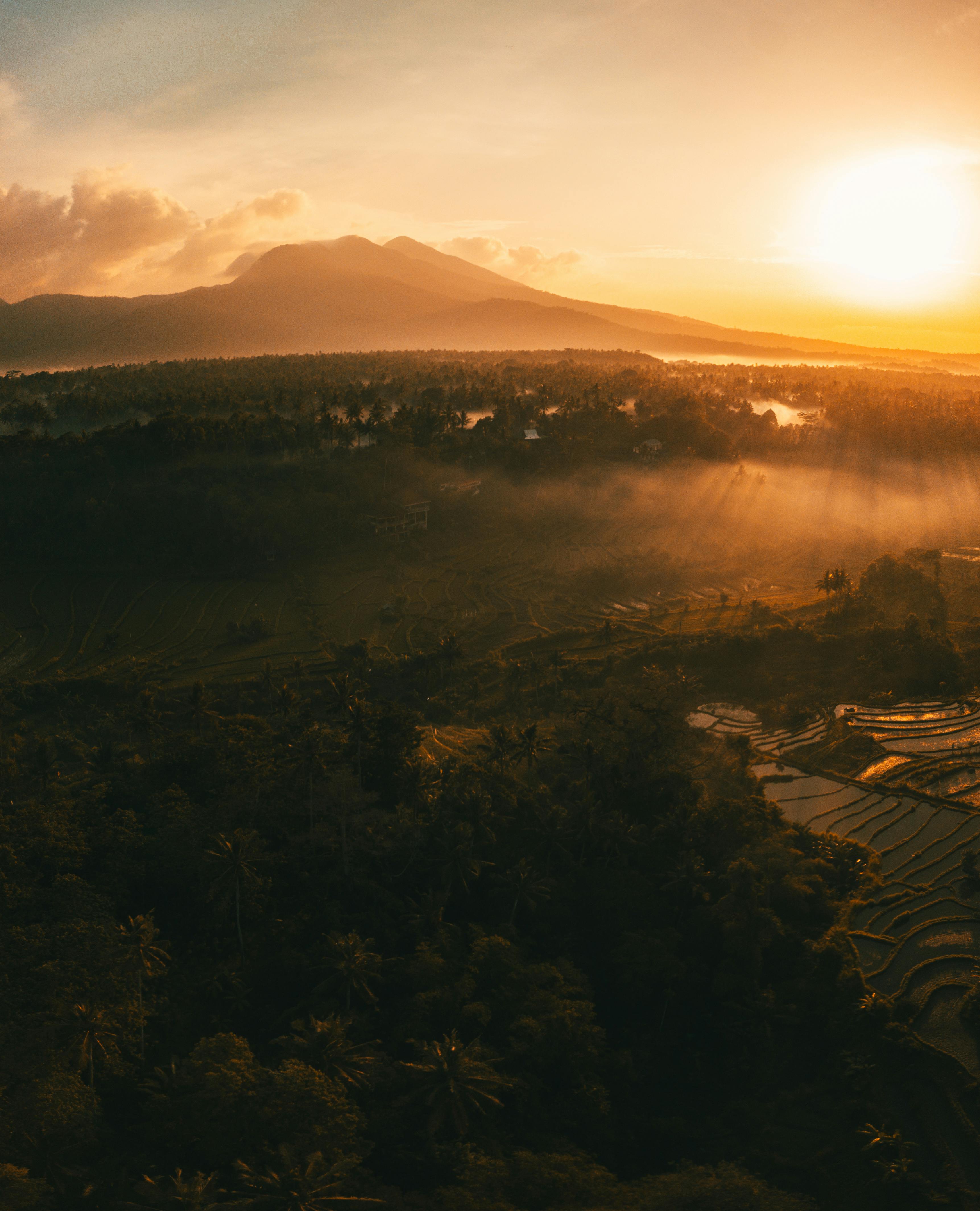 Terase panoramice cu vedere la munte în Brașov