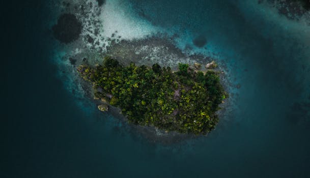 从空中俯瞰，清澈的蓝色海水环绕着孤岛，岛上绿意盎然