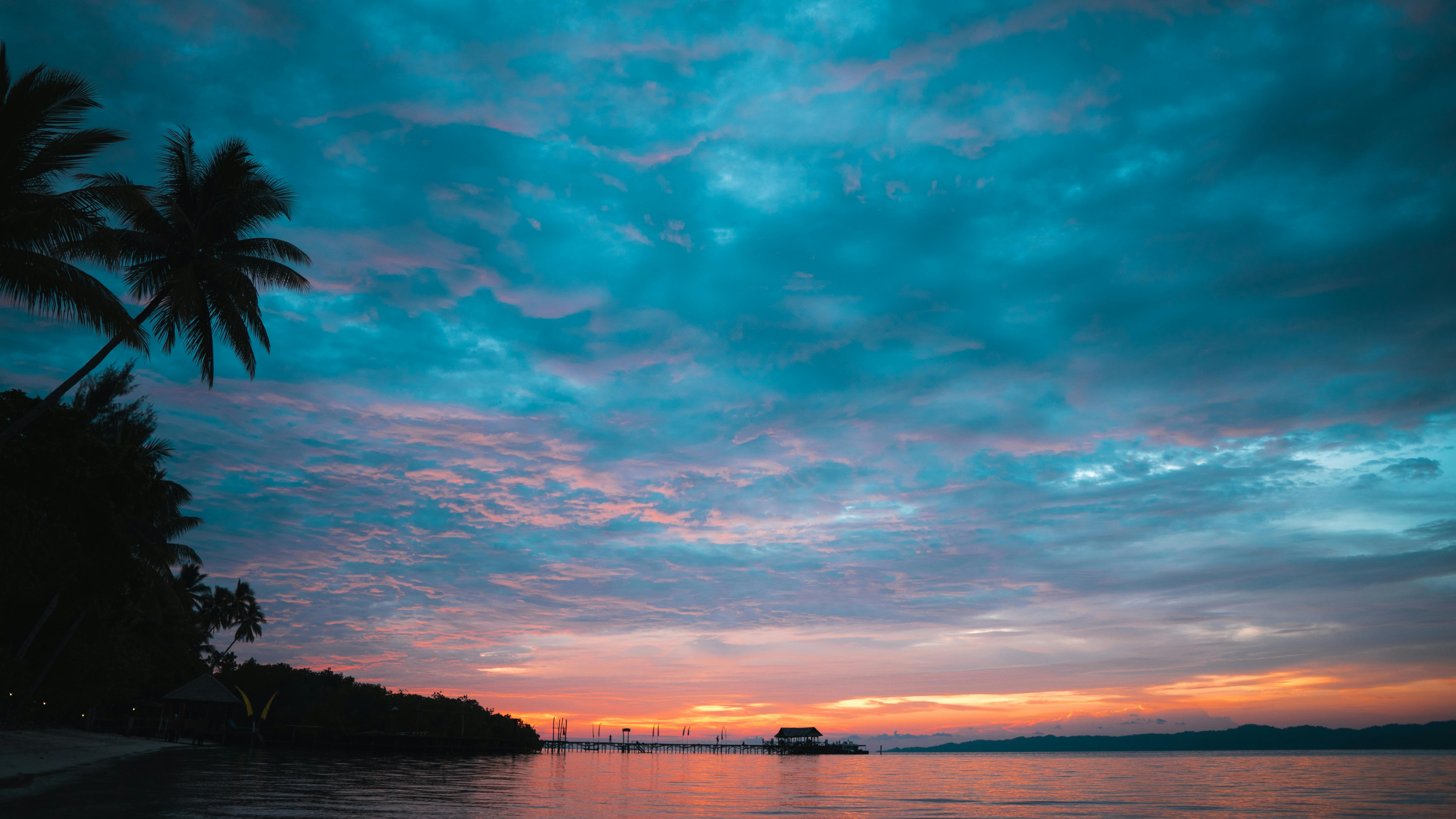 land beside a body of water during golden hour