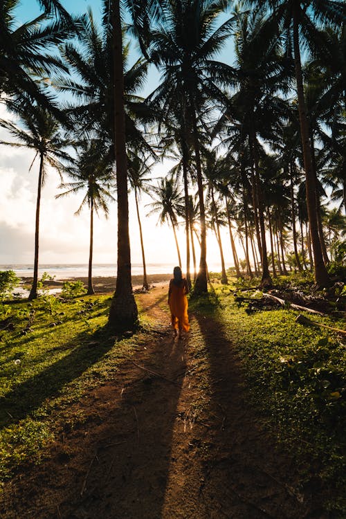 Landscape photo of a woman walking among coconut trees at sunset