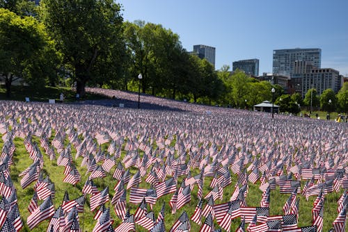 A field of american flags in front of a city