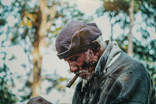 Kostnadsfri bild av cigarr, gammal man, naturliv