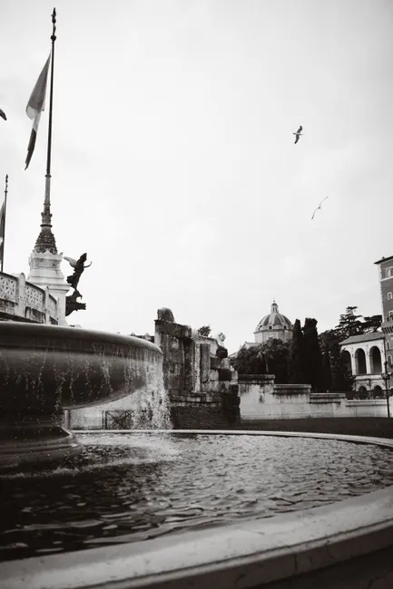 Mouse move image 7