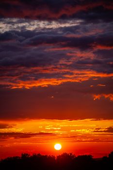 A stunning vertical shot of a vibrant sunset with a fiery red sky and silhouette of trees.