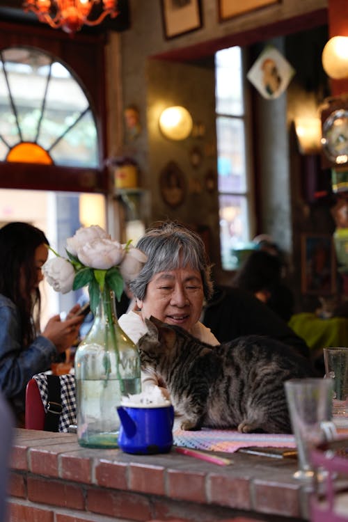 Woman Sitting near Cat at Cafe
