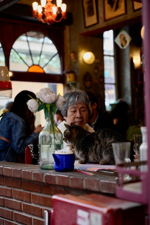 Woman behind Cat on Wall at Cafe