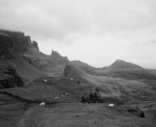 Black and white photo of mountains and sheep