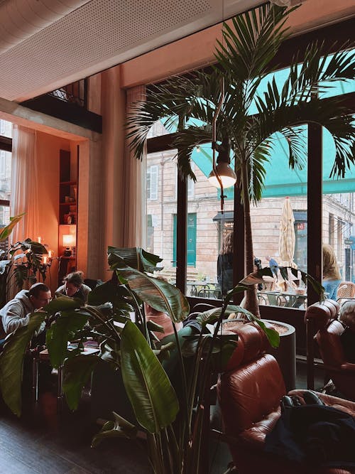 A restaurant with plants and chairs in the middle of the room